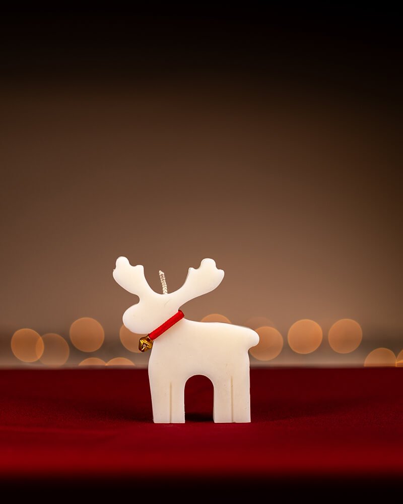Reindeer